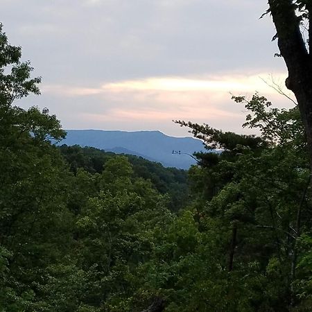 Rustic Cabin セバービル エクステリア 写真