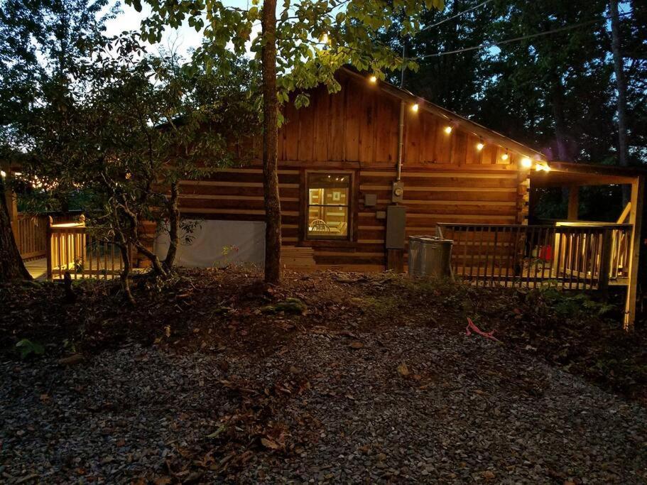 Rustic Cabin セバービル エクステリア 写真